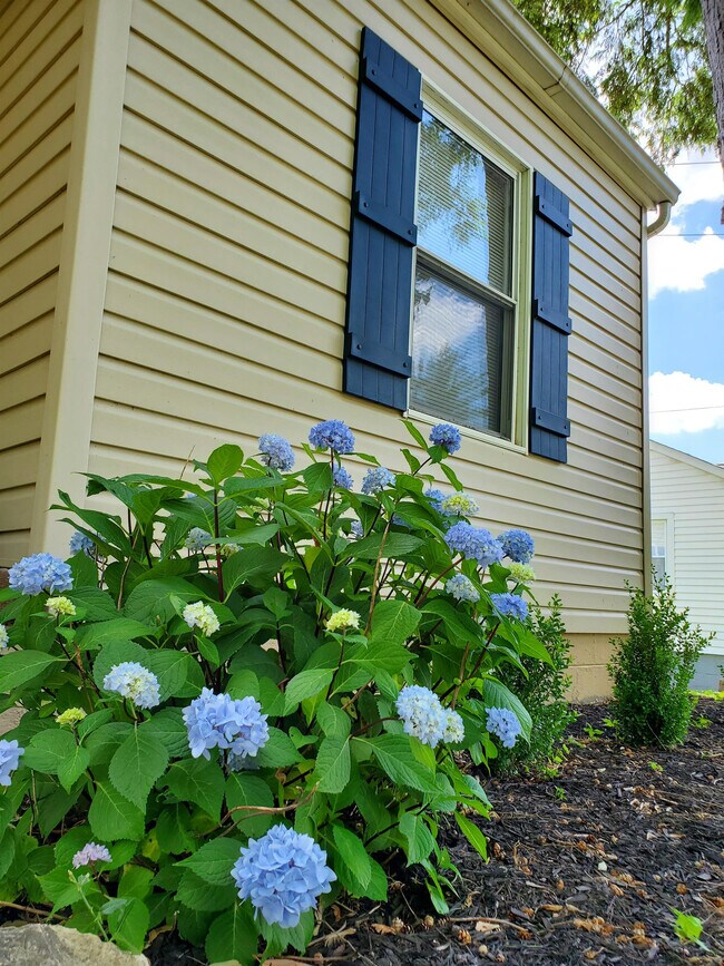 Building Photo - 2034 Fair Dr