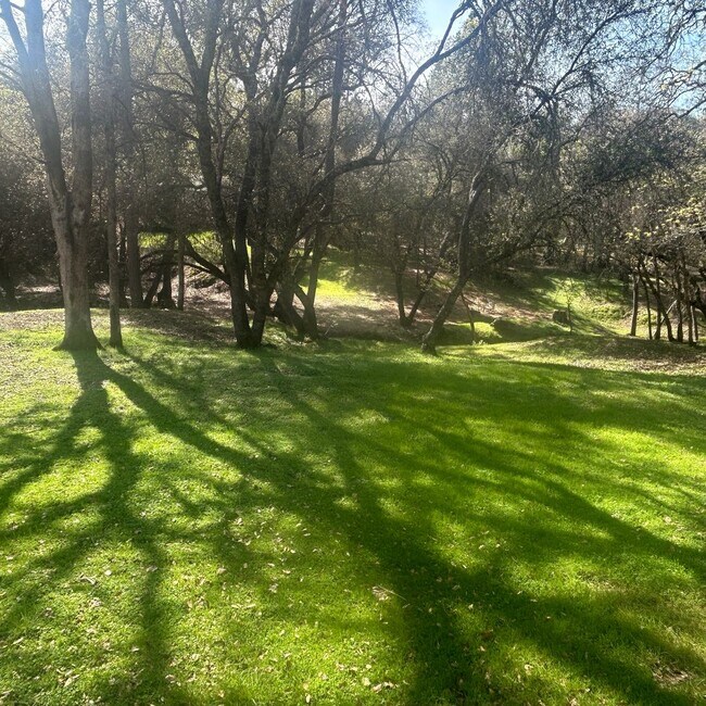 Foto del edificio - Beautiful Lake Wildwood Home with private back yard.