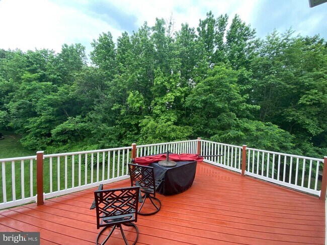 Foto del edificio - 17 Hidden Cove Ct