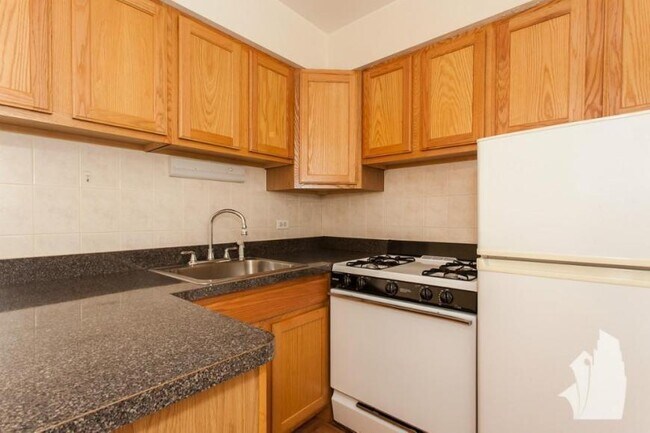 Building Photo - 0 bedroom in Chicago IL 60657