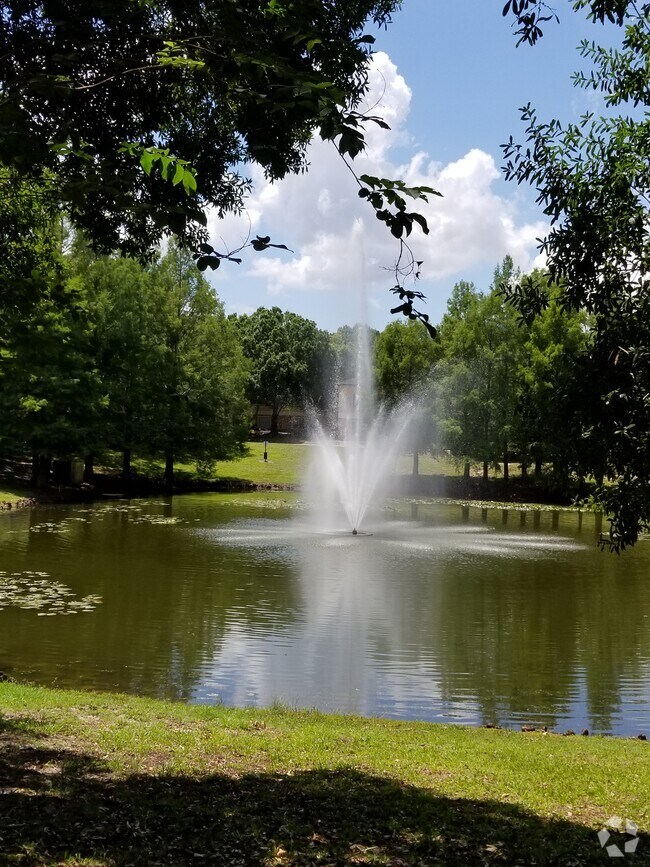 Doctor Phillips Apartments for Rent with Wheelchair Access Orlando