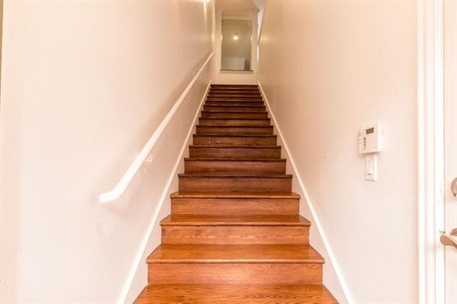 Foto del edificio - 732 Skyline Bluff Ct