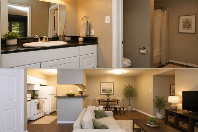 Photo - 10410 Old Bammel N Houston Rd (Houston, TX) Apartment
