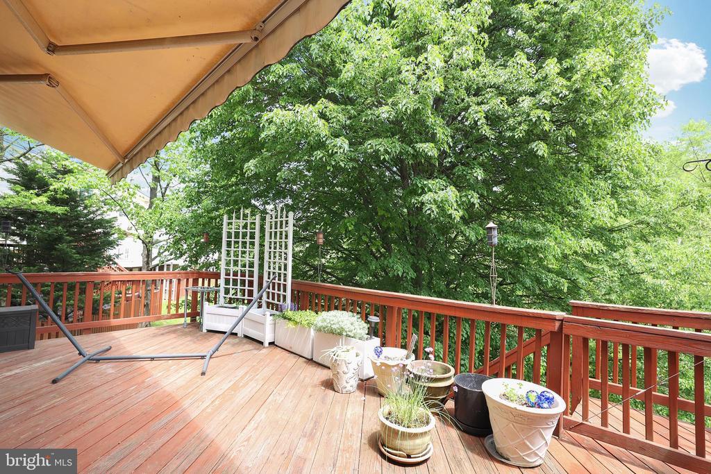 Foto principal - 1200 Treasure Oak Ct