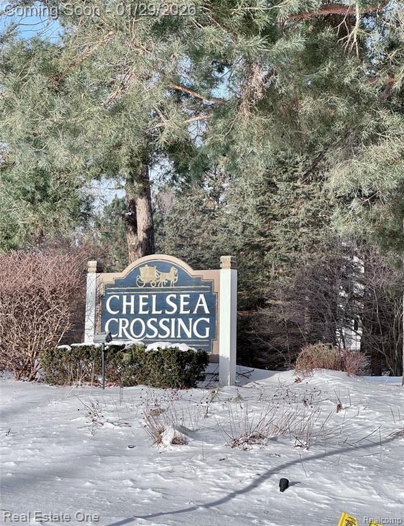 Foto del edificio - 37375 Chelsea Ln