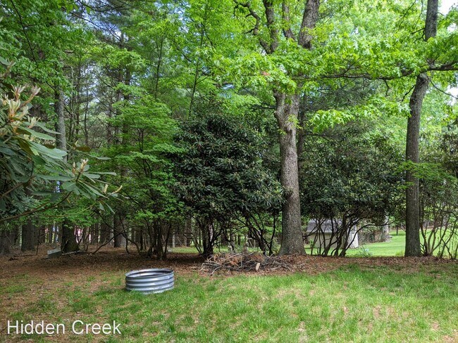 Building Photo - 1 br, 1 bath House - 390 Little Laurel Roa...
