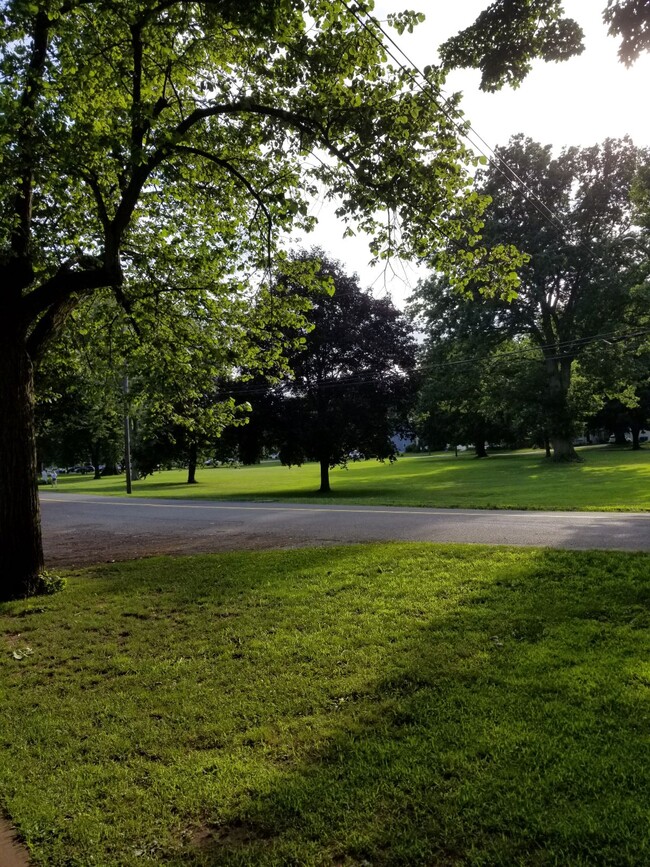 Green viewed from front of house - 174 -176 Broad Street