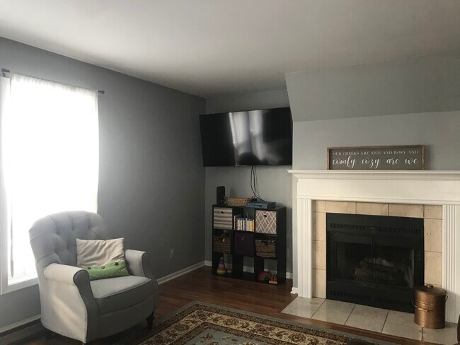 Fireplace - 6715 Park Edge Dr