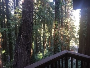 Building Photo - 100 Wildomar St