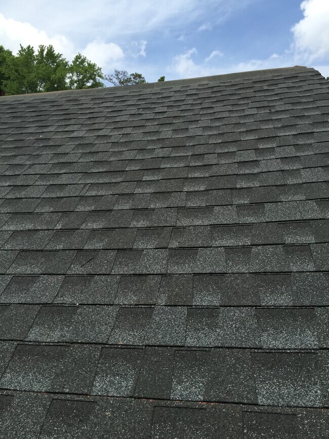 New roof - 511 Steel St