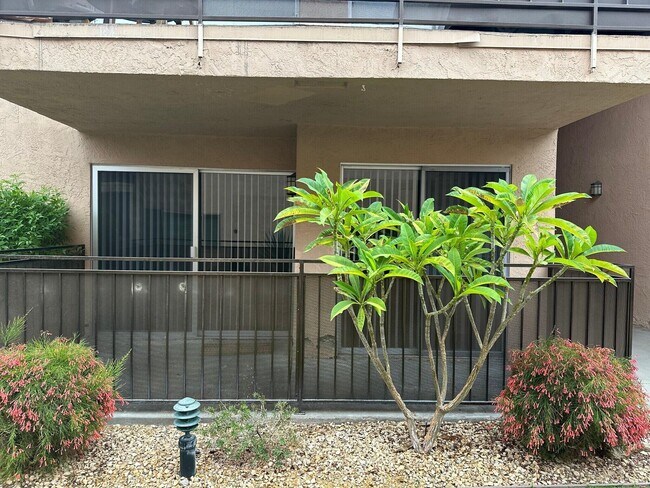 Foto del edificio - 400 N Sunrise Way