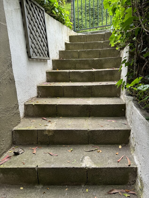 First steps - 2623 Laurel Canyon Blvd