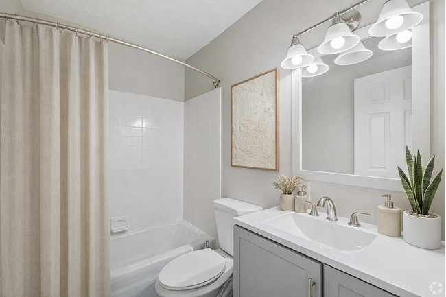 Modern bathroom with a snake plant - Blue Ridge Apartments
