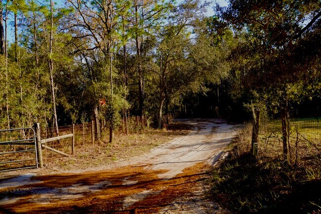 Foto del edificio - 29205 Saddle Oaks Ln