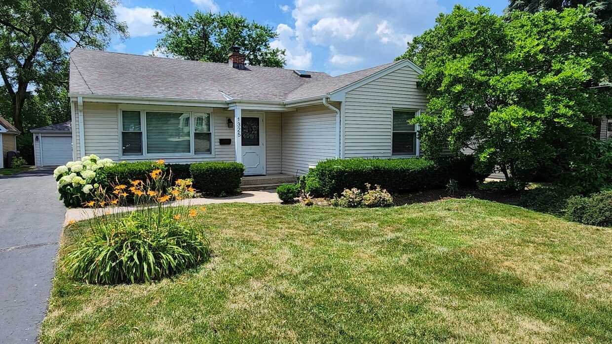 Primary Photo - 1325 Reid St