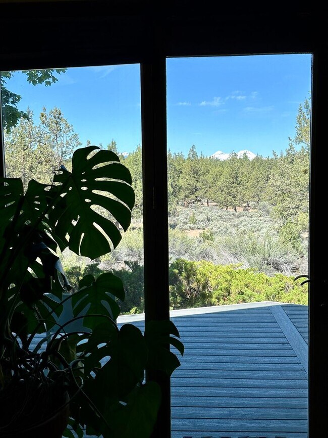 Building Photo - RARE OFFERING! Stunning 3-Bedroom Retreat ...