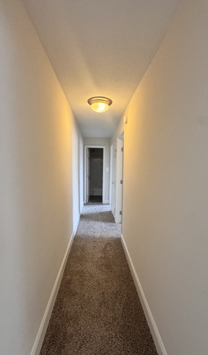 Interior Photo - Summit Hills