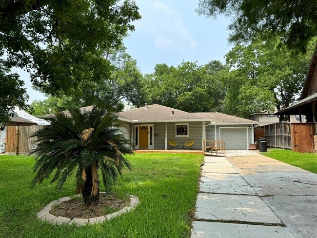 Building Photo - 805 Jaquet Dr