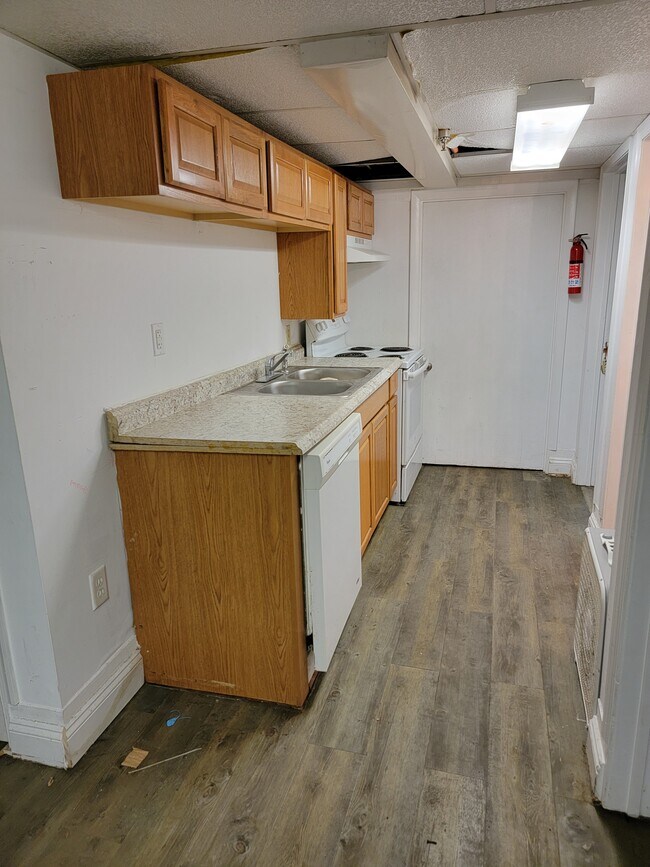 Apt 2 Basement - 119 Bowery St