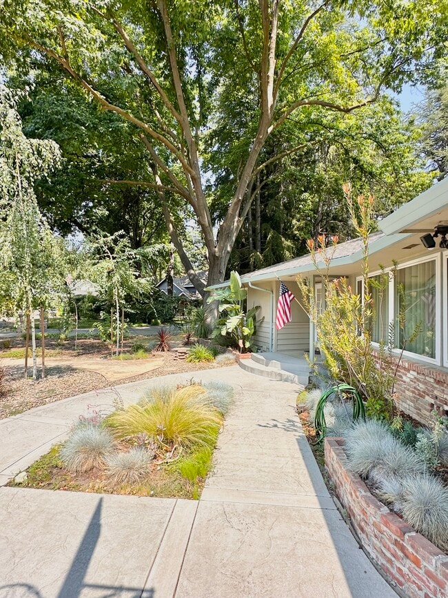 Building Photo - 991 Piedmont Dr