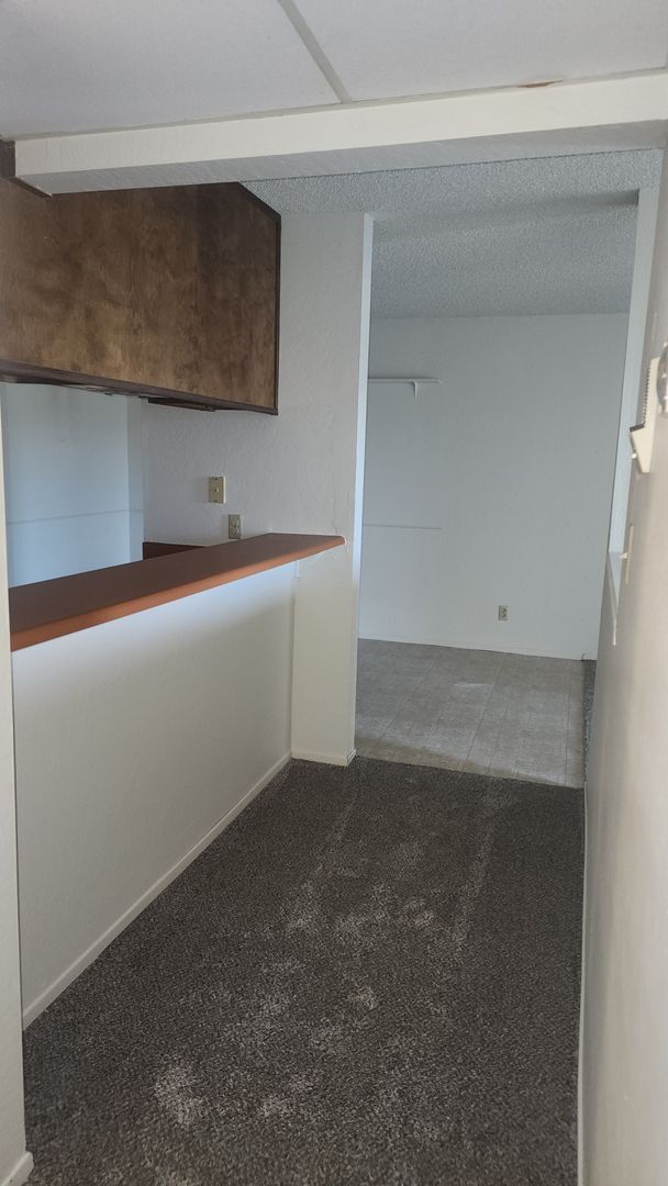 Building Photo - This unit is freshly painted with new carp...