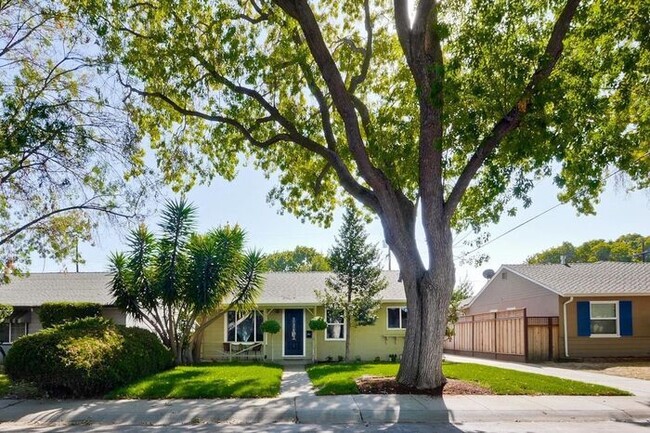 Building Photo - 871 Sunset Dr