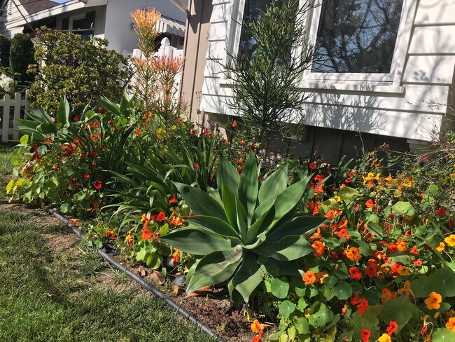 Jardín frontal - 3540 McLaughlin Ave