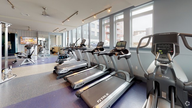 Gimnasio - The Watson