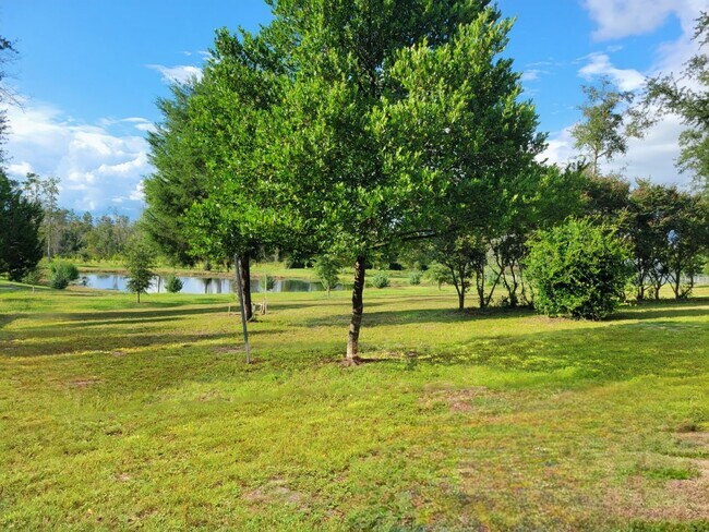 Building Photo - For Lease - 3 BR|2 BA in Bear Creek with P...
