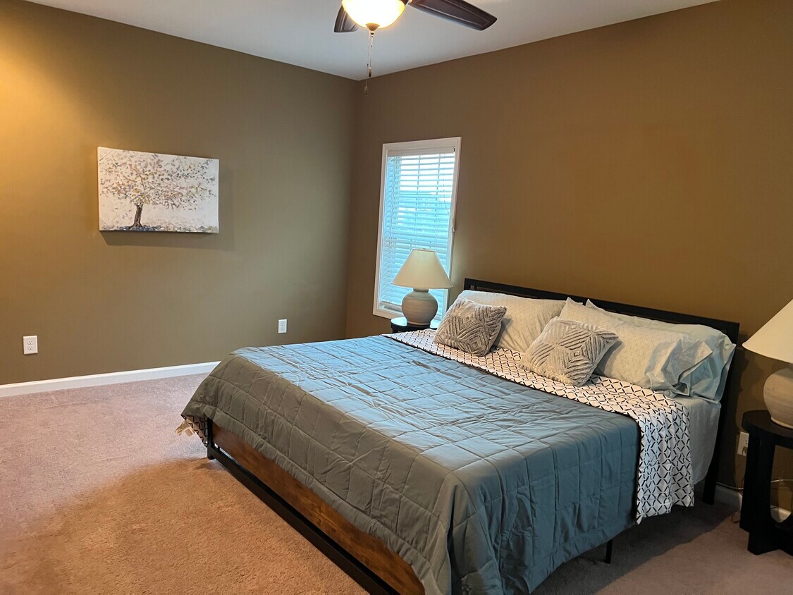 Master Bedroom king size bed downstairs - 3369 Wiser Dr