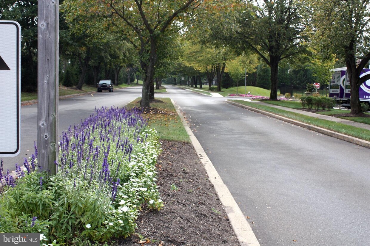 333 Hackberry Ct, Warrington, PA 18976 Condo for Rent in Warrington