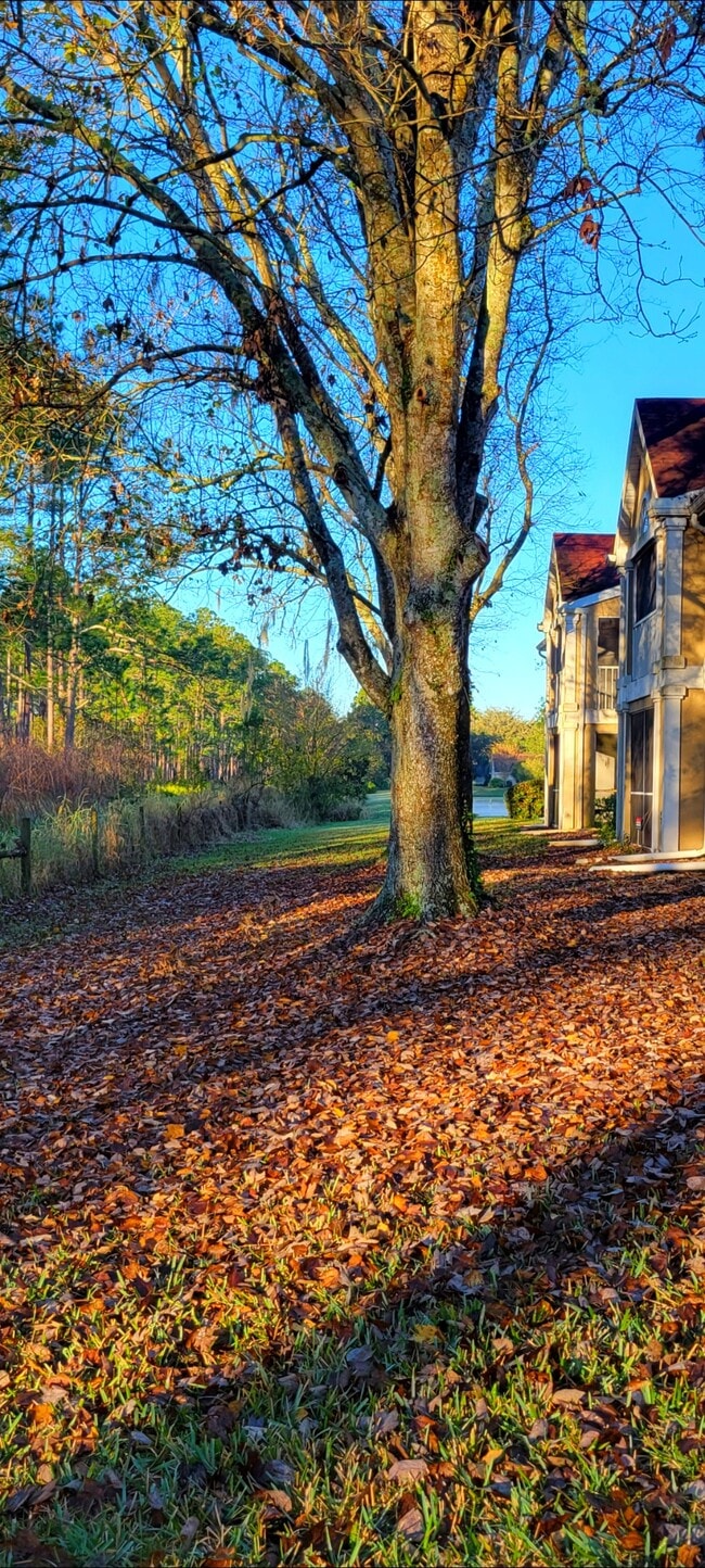 Foto del edificio - 9481 Highland Oak Dr