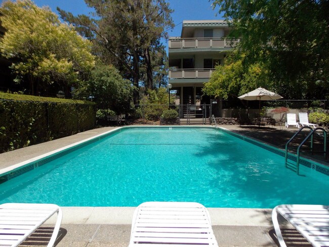 Terra Linda Apartments San Rafael Ca Terra Linda Apartments San Rafael Ca