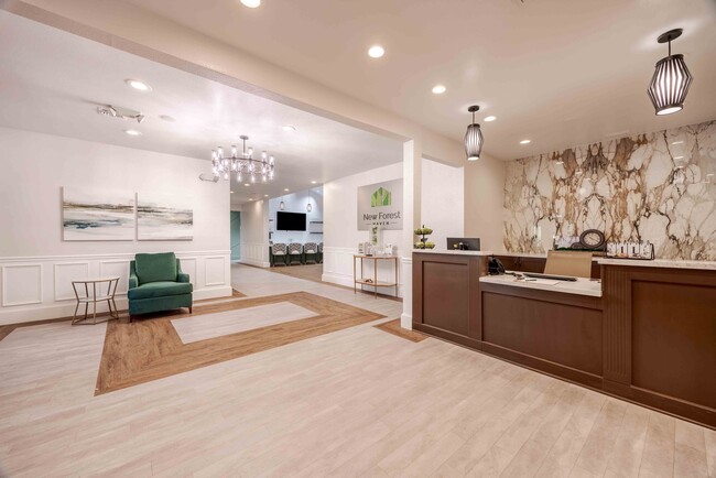 Welcome to New Forest Haven - New Forest Haven - 55+ Apartments