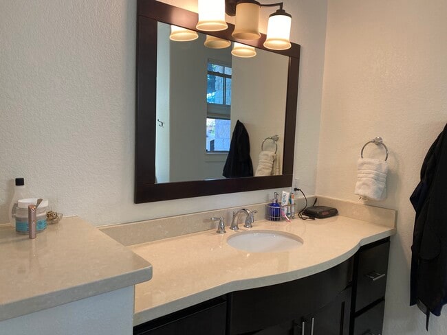 Master Bathroom - 4312 Falcon Head Nest Dr