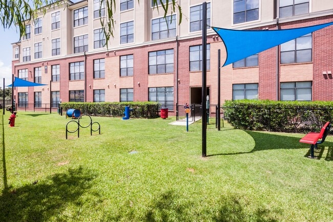 Private Paw Park with Agility Equipment. - The Atlantic Memorial