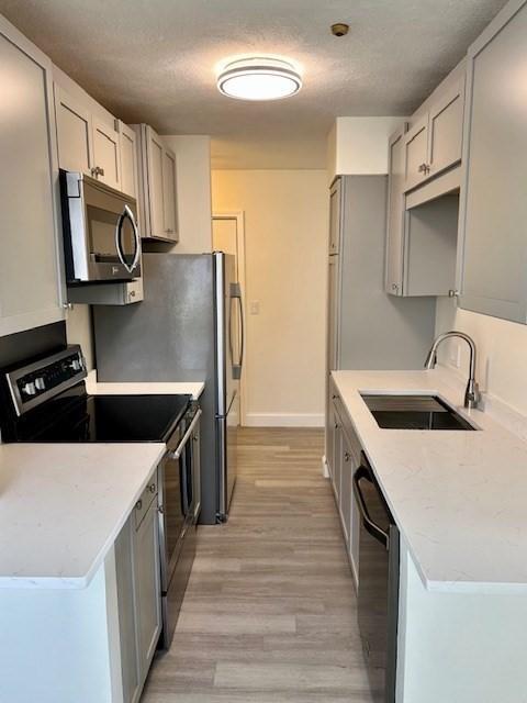 Foto del edificio - 101 Waite St