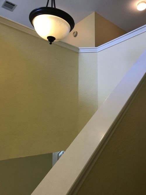 Building Photo - 3210 Blazing Star Trl