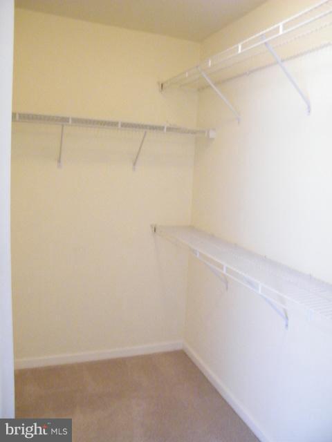 Building Photo - 13673 St Johns Wood Pl