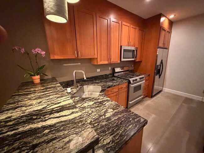 Photo - 18 Norfolk St Apartment