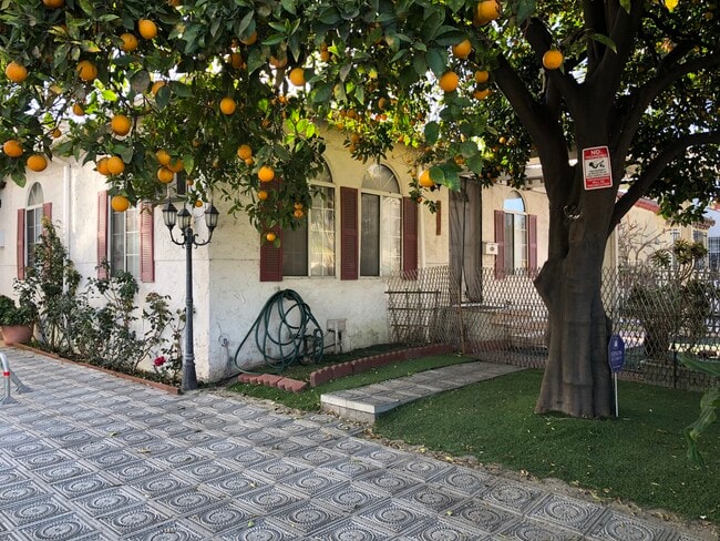 fron yard - 8624 Olin St