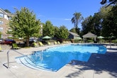 This outdoor amenity space is centered around a generously sized, freeform swimming pool with clear blue water, surrounded by a wide concrete pool deck designed for both relaxation and socializing. The pool area is well-furnished with yellow sling-style lounge chairs and large light-green patio umbrellas that provide ample shade throughout the day. A covered gazebo structure sits poolside, offering an additional shaded gathering spot. The entire area is framed by mature trees and neatly maintained shrubs and hedgerows, creating a sense of privacy and a natural, park-like atmosphere. A wrought iron perimeter fence encloses the space while maintaining open views of the surrounding greenery. Adjacent to the pool area, the clubhouse entrance features a charming peaked roofline clad in gray siding with white trim accents. Bold terra cotta planters filled with red flowering plants flank the entryway, adding a welcoming and polished aesthetic. The broader property context reveals multi-story residential buildings with brick and siding exteriors set among mature trees, suggesting a well-established community. Throughout the space, the combination of thoughtful landscaping, structured outdoor furnishings, and clean architectural details creates an inviting and resort-like outdoor environment.