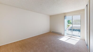 Interior Photo - Marina Playa