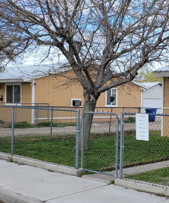 Building Photo - 517 Wildes St