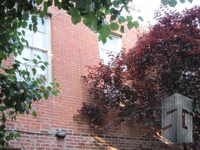 Primary Photo - 139 Wyckoff St