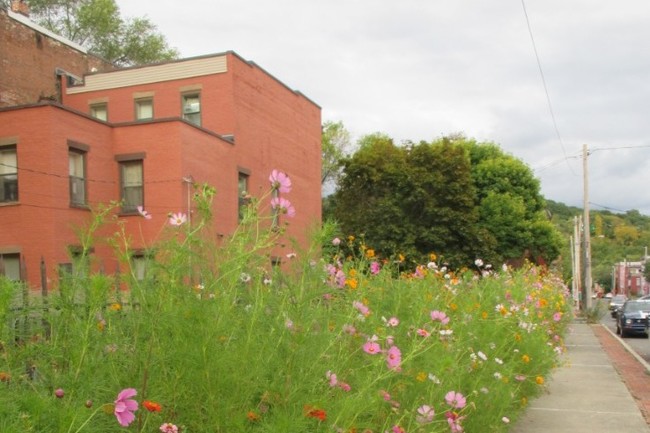 48 Adams St Unit A Troy Ny 12180 Apartment For Rent In Troy