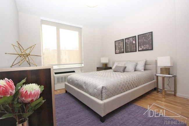Building Photo - Luxury 1 Bedroom Apartment in Crown Heights