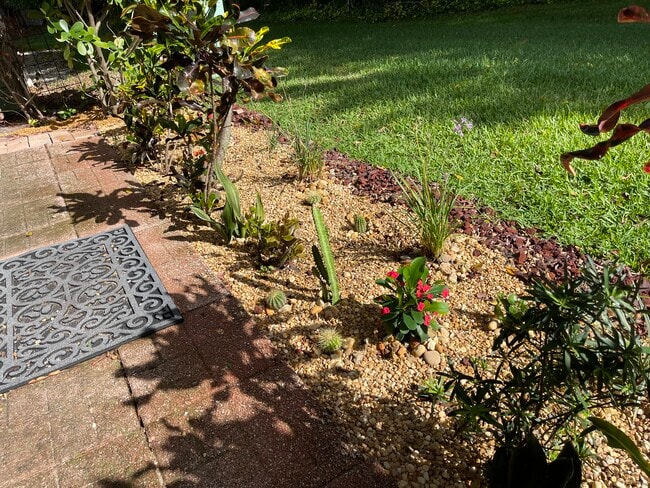 Back garden - 7942 Lexington Club Blvd