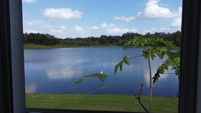 View From Window - 3133 Riachuelo Ln