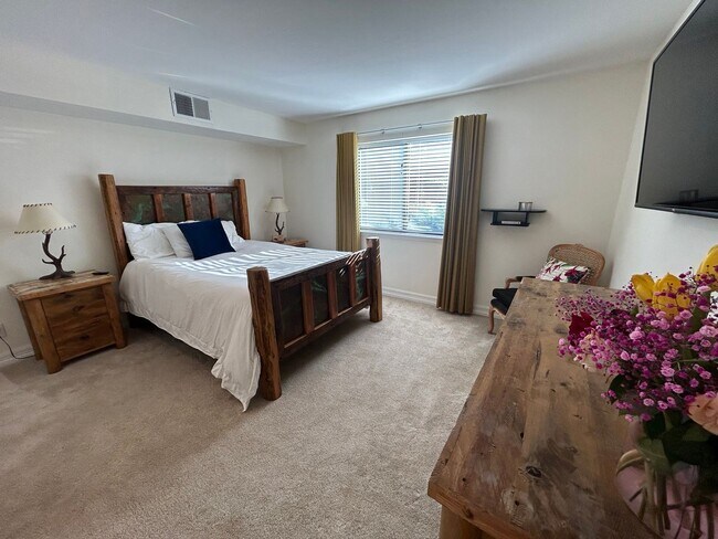 Foto del edificio - Beautiful Condo in Carbondale!